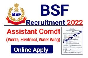 BSF Assistant Commandant Online Form