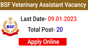 BSF Veterinary Assistant Surgeon Online Form