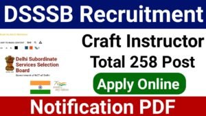 DSSSB Section Officer Online Form 2024