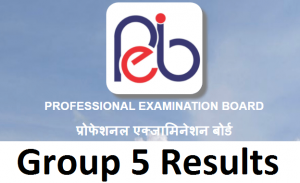 MPPEB Group 5 Post Result 2021