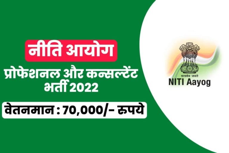 Niti Ayog Young Professionals and Consultant Online Form 2022 Niti Ayog Young Professionals and Consultant Online Form 2022